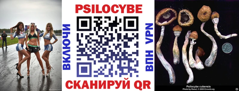 Галлюциногенные грибы мицелий  Стерлитамак 